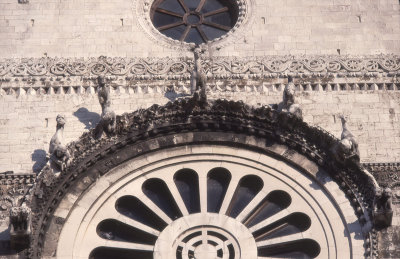 Bari Cathedral or S Sabino 038.jpg