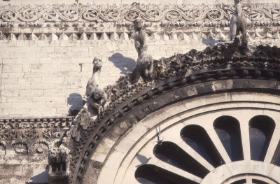 Bari Cathedral or S Sabino 041.jpg