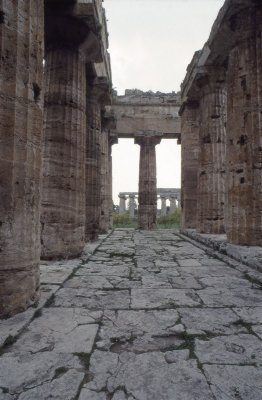 Paestum Temple of Neptune - Hera II 031.jpg