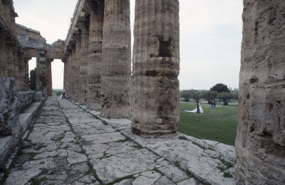 Paestum Temple of Neptune - Hera II 063.jpg