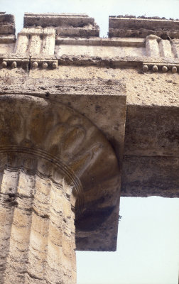Paestum Temple of Neptune - Hera II 072.jpg