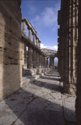 Paestum Temple of Neptune - Hera II 074.jpg