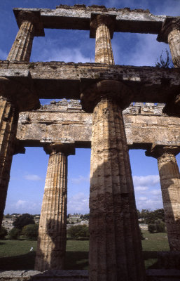 Paestum Temple of Neptune - Hera II 076.jpg