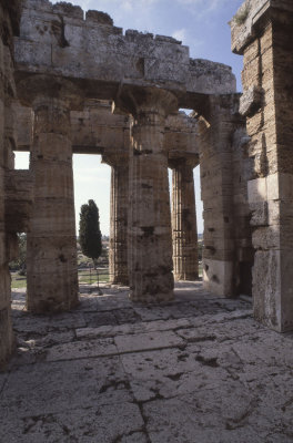 Paestum Temple of Neptune - Hera II 077.jpg