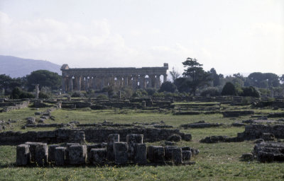 Paestum Temple of Neptune - Hera II 089.jpg