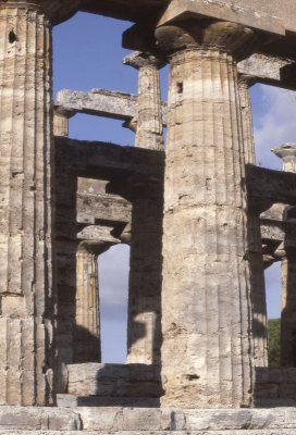 Paestum Temple of Neptune - Hera II 100.jpg