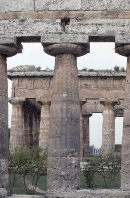 Paestum Temple of Neptune - Hera II in back 037.jpg