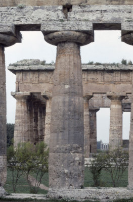 Paestum Temple of Neptune - Hera II in back 040.jpg