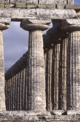 Paestum Temple of Hera I 098.jpg
