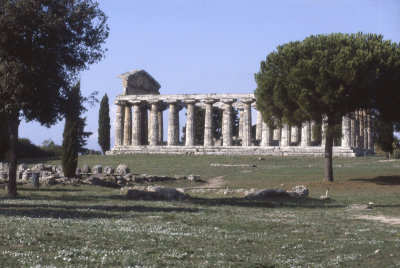 Paestum Temple of Athena 086.jpg