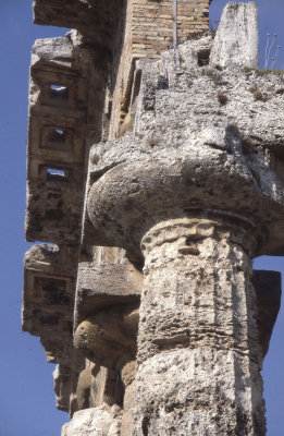 Paestum Temple of Athena 091.jpg