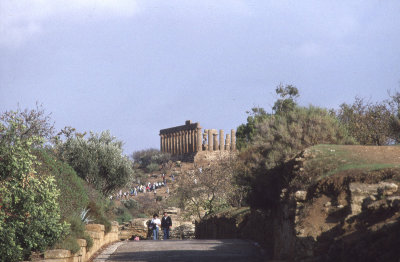 Agrigento Temple of Juno 117.jpg