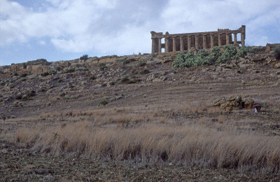 Agrigento Temple of Juno 119.jpg