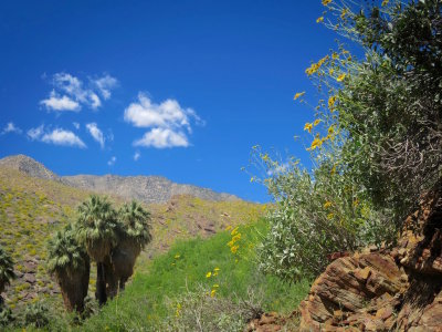 Palm Springs 2017 - 111.jpg