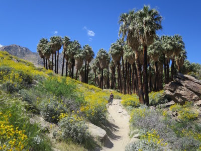 Palm Springs 2017 - 117.jpg