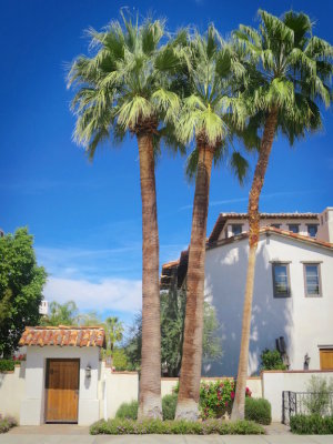 Palm Springs 2017 - 24.jpg