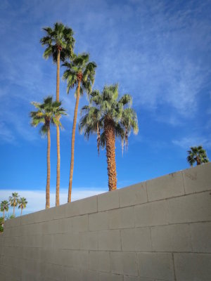 Palm Springs 2017 - 39.jpg