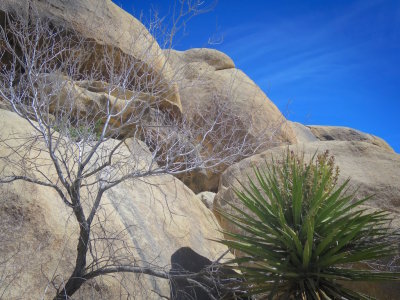 Palm Springs 2017 - 7.jpg