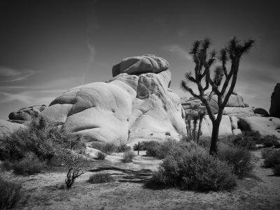 Palm Springs 2017 - 74.jpg