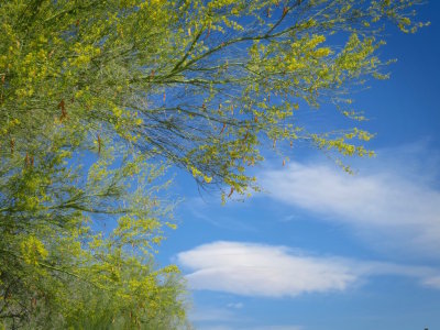 Palm Springs 2017 - 75.jpg