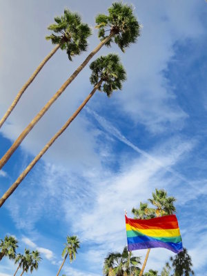 Palm Springs 2017 - 83.jpg