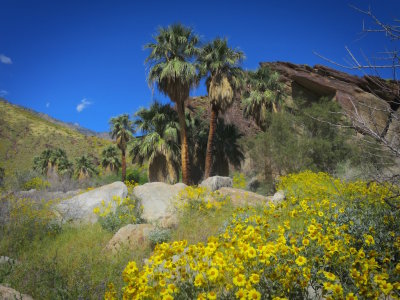 Palm Springs 2017 - 92.jpg
