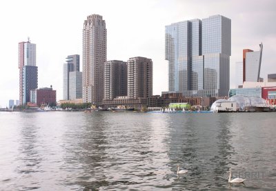 Rotterdam zuid