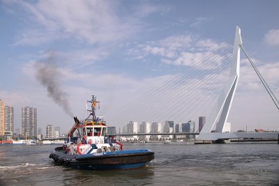 Rotterdam, Oude Haven en Katendrecht