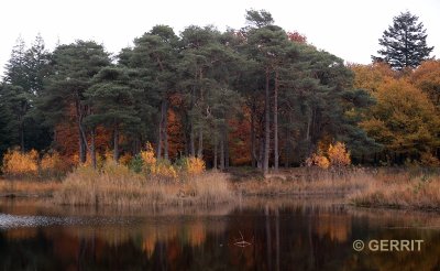 Herfst, Hoge Veluwe