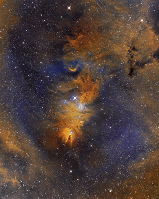 NGC 2264