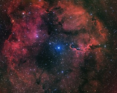 IC 1396 Elefantenrssel-Nebel