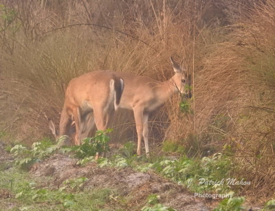 DSCN1832.jpg