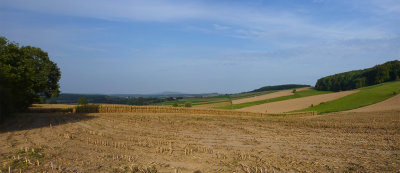 Prs Uhrwiller, Soultzerkopf  l'horizon
