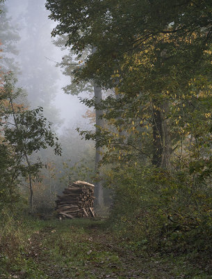 Woodpile