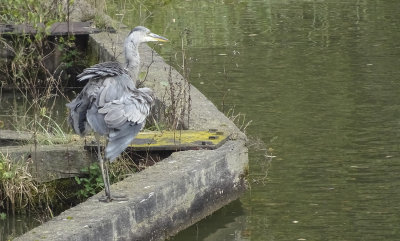 Sally Rand on the canal