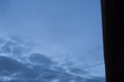 Migrating Arctic Cranes