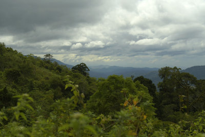 Unspoiled wilderness of Loei prov.