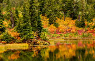 Picture Lake in fall