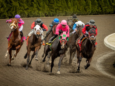 Emerald Downs:  Click image to open gallery