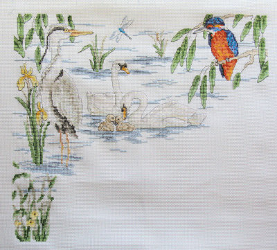 River Birds - 171 hours