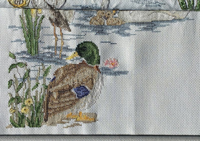 River Birds - 210 hours