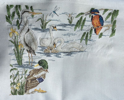 River Birds - 199 hours