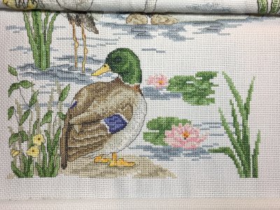 River Birds - Working Gallery