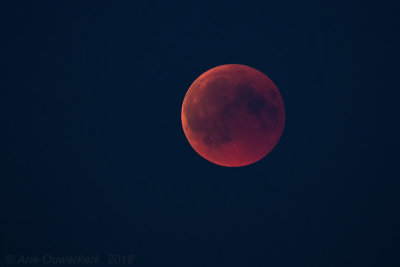 Bloedmaan