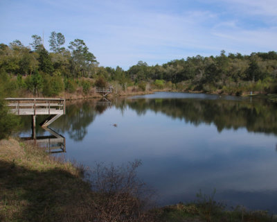 Anderson Pond