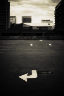 IMG_2856_plat_crop.jpg