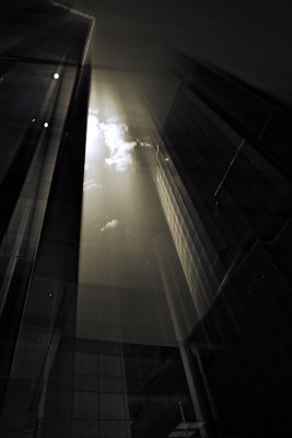 IMG_2889_plat_proc1_crop.jpg