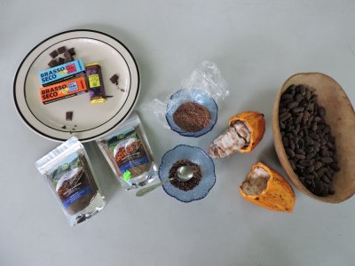 Barrett¸20180305_1326_01_cacao.JPG