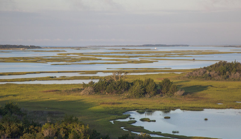 Marshland And The Intercostal Waterway- Western Side Of The Barrier Islands