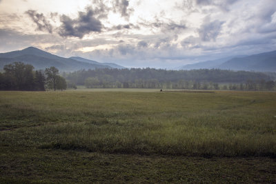 Early Morning In Cades Cove